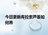 今日更新库拉索芦荟如何养