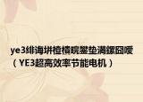 ye3绯诲垪楂樻晥鐢垫満鏍囧噯（YE3超高效率节能电机）