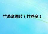 竹燕窝图片（竹燕窝）
