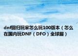 dnf回归玩家怎么玩100版本（怎么在国内玩DNF（DFO）全球服）