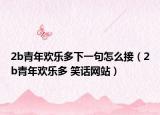 2b青年欢乐多下一句怎么接（2b青年欢乐多 笑话网站）