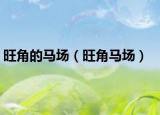 旺角的马场（旺角马场）