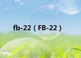 fb-22（FB-22）
