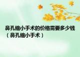 鼻孔缩小手术的价格需要多少钱（鼻孔缩小手术）