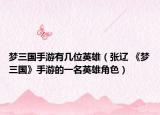 梦三国手游有几位英雄（张辽 《梦三国》手游的一名英雄角色）