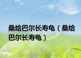 桑给巴尔长寿龟（桑给巴尔长寿龟）
