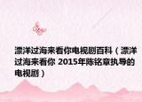 漂洋过海来看你电视剧百科（漂洋过海来看你 2015年陈铭章执导的电视剧）