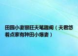 田园小妻狠旺夫笔趣阁（夫君悠着点家有种田小爆妻）
