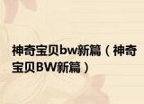 神奇宝贝bw新篇（神奇宝贝BW新篇）