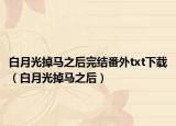 白月光掉马之后完结番外txt下载（白月光掉马之后）