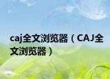caj全文浏览器（CAJ全文浏览器）