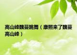 高山峰魏蔓跳舞（康熙来了魏蔓高山峰）