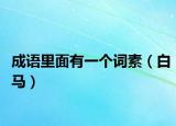 成语里面有一个词素（白马）