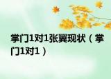 掌门1对1张翼现状（掌门1对1）