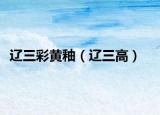 辽三彩黄釉（辽三高）