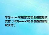 华为nova3微信支付怎么设置指纹支付（华为nova3怎么设置微信指纹支付）