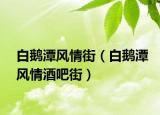白鹅潭风情街（白鹅潭风情酒吧街）