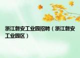 浙江磐安工业园招聘（浙江磐安工业园区）