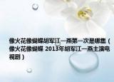 像火花像蝴蝶胡军江一燕第一次是哪集（像火花像蝴蝶 2013年胡军江一燕主演电视剧）