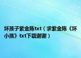 坏孩子紫金陈txt（求紫金陈《坏小孩》txt下载谢谢）