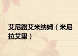 艾尼路艾米纳姆（米尼拉艾里）