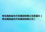 青岛海高城市开发集团有限公司董事长（青岛海高城市开发集团有限公司）