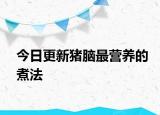 今日更新猪脑最营养的煮法
