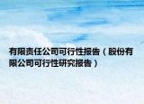 有限责任公司可行性报告（股份有限公司可行性研究报告）