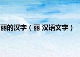 丽的汉字（丽 汉语文字）