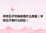 羊吃石子对身体有什么危害（羊吃石子有什么好处）