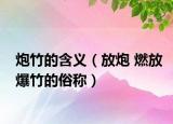 炮竹的含义（放炮 燃放爆竹的俗称）