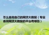 怎么查询自己的网贷大数据（专业查询网贷大数据的平台有哪些）