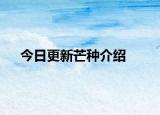 今日更新芒种介绍