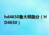 hd4650鲁大师跑分（HD4650）