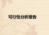 可行性分析报告