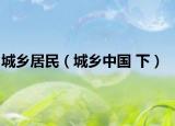 城乡居民（城乡中国 下）