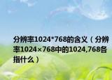 分辨率1024*768的含义（分辨率1024×768中的1024,768各指什么）