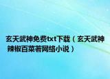 玄天武神免费txt下载（玄天武神 辣椒百菜著网络小说）