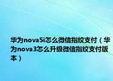 华为nova5i怎么微信指纹支付（华为nova3怎么升级微信指纹支付版本）