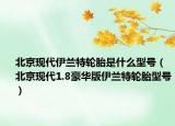 北京现代伊兰特轮胎是什么型号（北京现代1.8豪华版伊兰特轮胎型号）