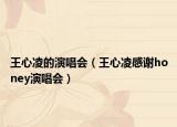 王心凌的演唱会（王心凌感谢honey演唱会）
