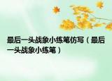 最后一头战象小练笔仿写（最后一头战象小练笔）