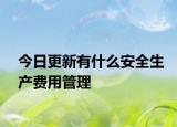 今日更新有什么安全生产费用管理
