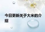 今日更新关于大米的介绍