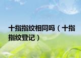 十指指纹相同吗（十指指纹登记）