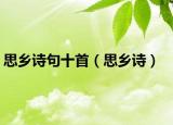 思乡诗句十首（思乡诗）
