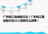 广东阳江海域船沉没（广东阳江籍渔船沉没12人获救怎么回事）
