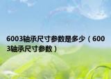 6003轴承尺寸参数是多少（6003轴承尺寸参数）