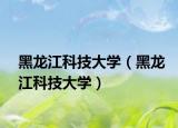 黑龙江科技大学（黑龙江科技大学）