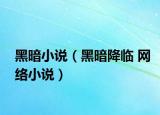 黑暗小说（黑暗降临 网络小说）